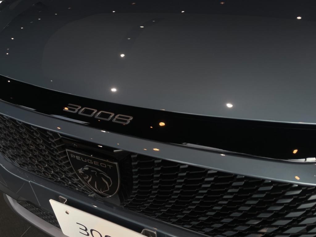 NEW3008