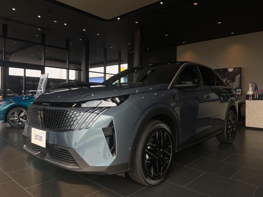 NEW3008