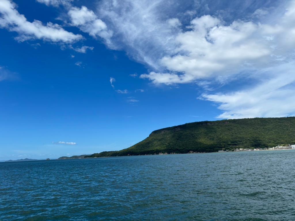 ８月も半月が経ちました