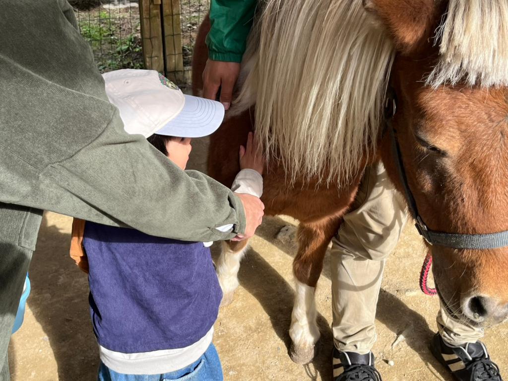 動物園に行ってきました！