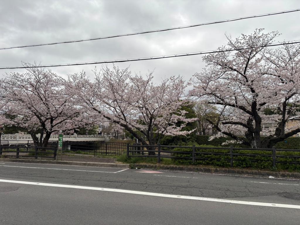 今日から４月です