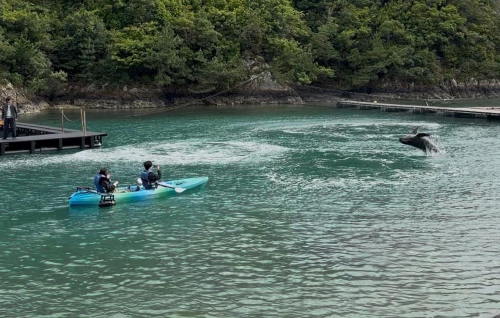 太地町立くじらの博物館🐋