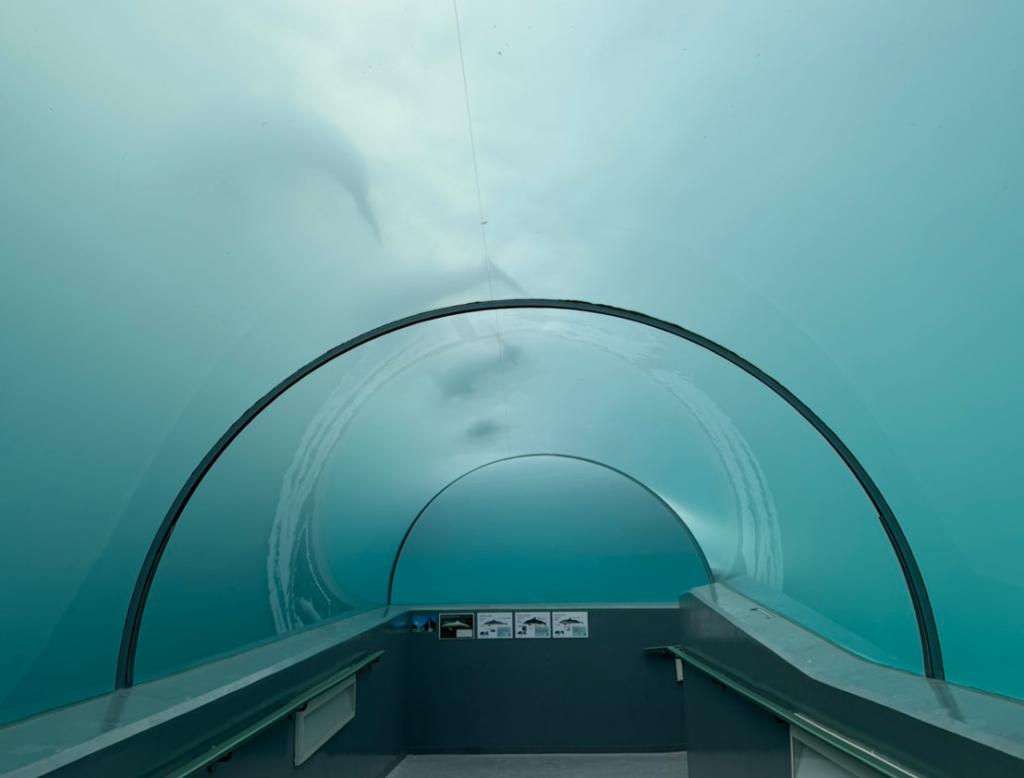 太地町立くじらの博物館🐋
