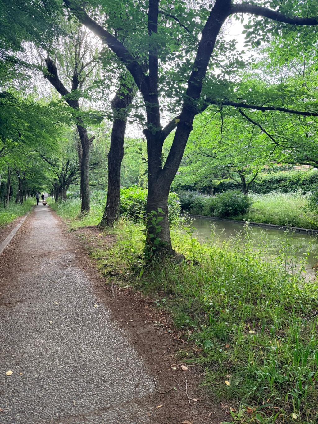 今日から7月です
