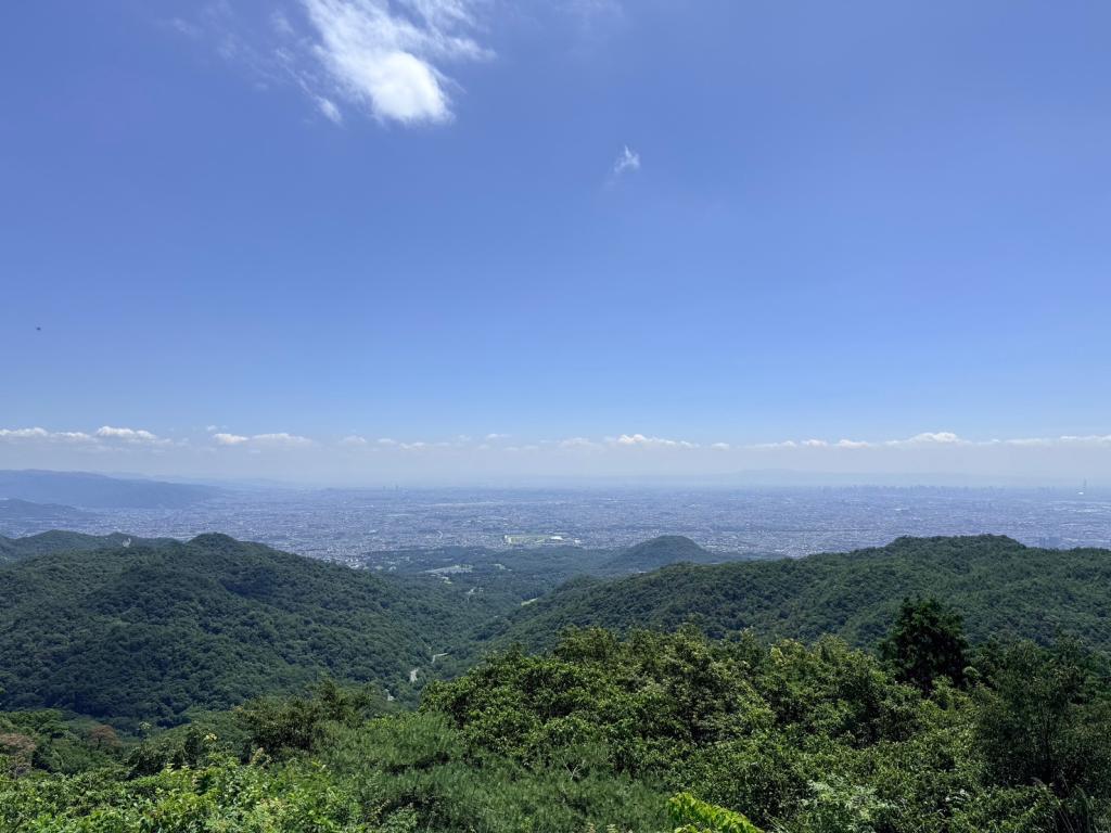 ７月も半月が経ちました