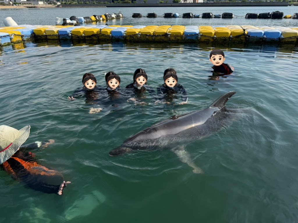 またまたイルカです！🐬