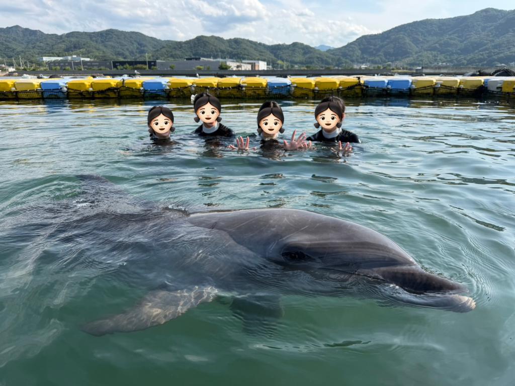 またまたイルカです！🐬